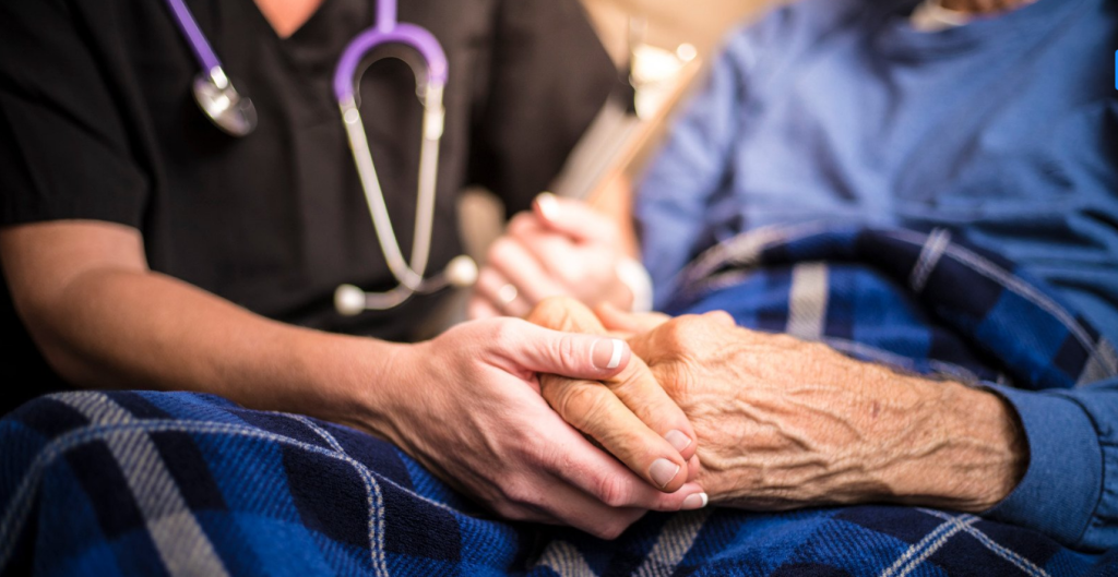 Investigating Financial Irregularities at Zola Hospice Fraud Investigating Financial Irregularities at Zola Hospice Fraud