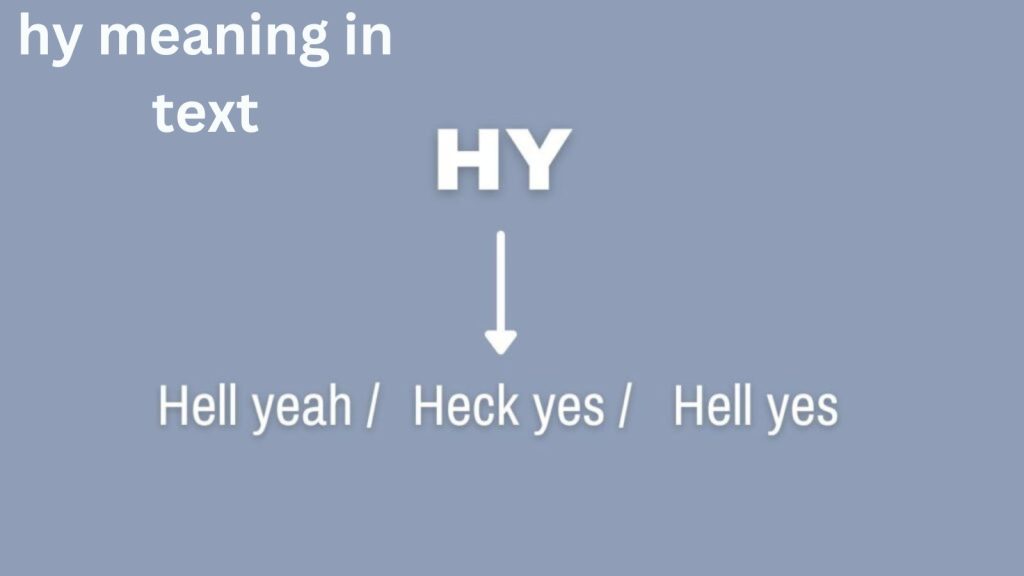 hy meaning in text: Everything you need to know.